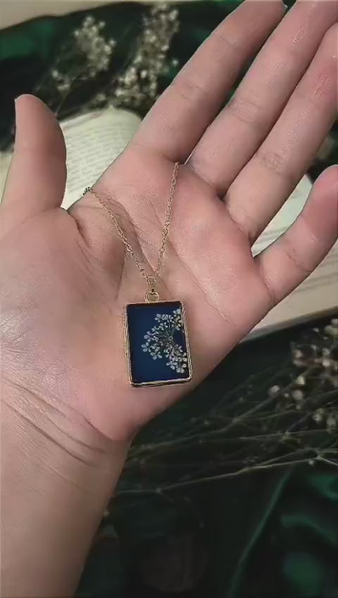 Midnight Bloom..💙